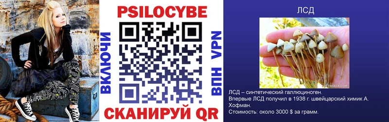 Галлюциногенные грибы Magic Shrooms  shop клад  Сухиничи 